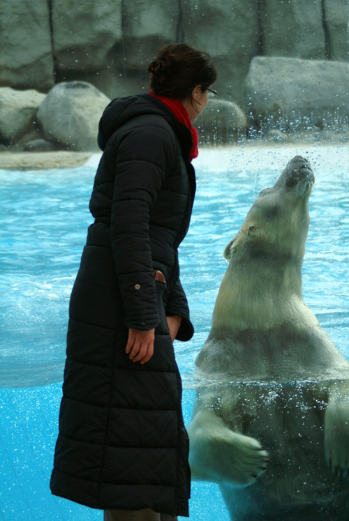 syph_ours.jpg, janv. 2010 syph_ours.jpg